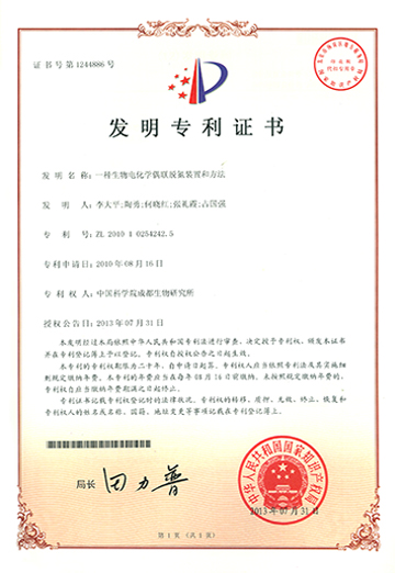 2025新澳门原料免费