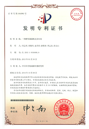 2025新澳门原料免费