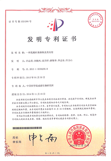 2025新澳门原料免费