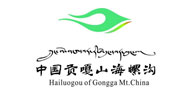 2025新澳门原料免费