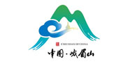 2025新澳门原料免费