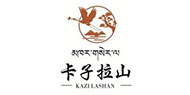 2025新澳门原料免费