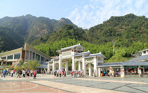 2025新澳门原料免费