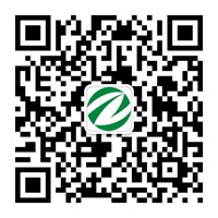 2025新澳门原料免费