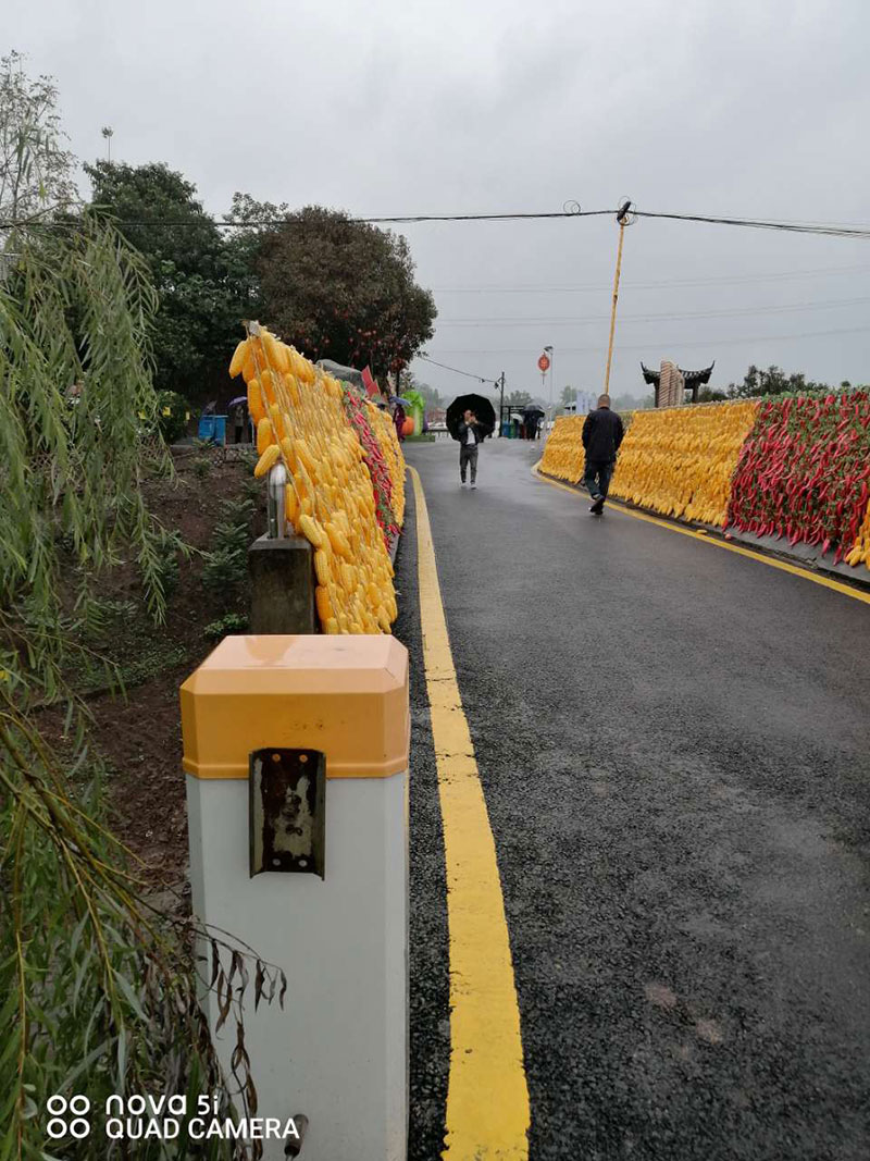 2025新澳门原料免费