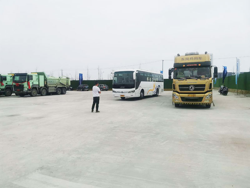 2025新澳门原料免费